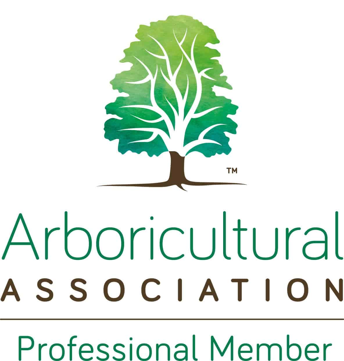 AA LOGO-min